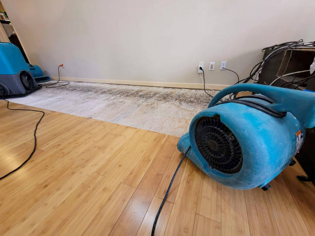 Professional Water Extraction technician working in Sixes, OR